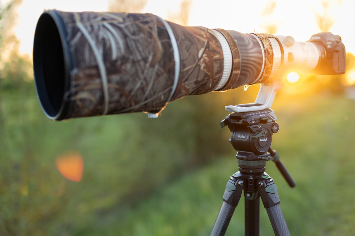 Kreative Vogelfotografie: Mitzieher mit Chris Kaula