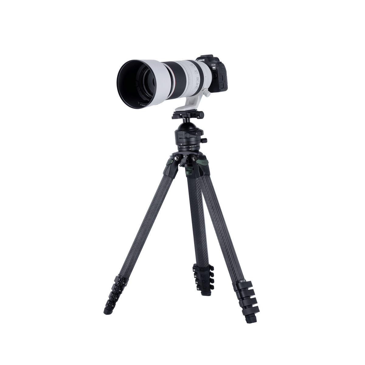 Lion Rock Pro Instinct inkl. Stativkopf