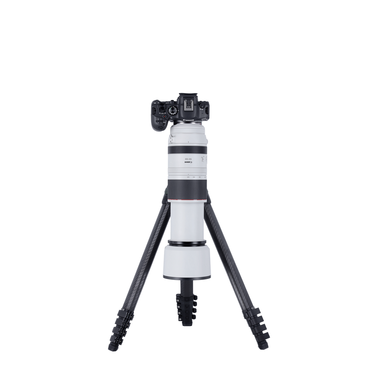 Lion Rock Pro Instinct inkl. Stativkopf