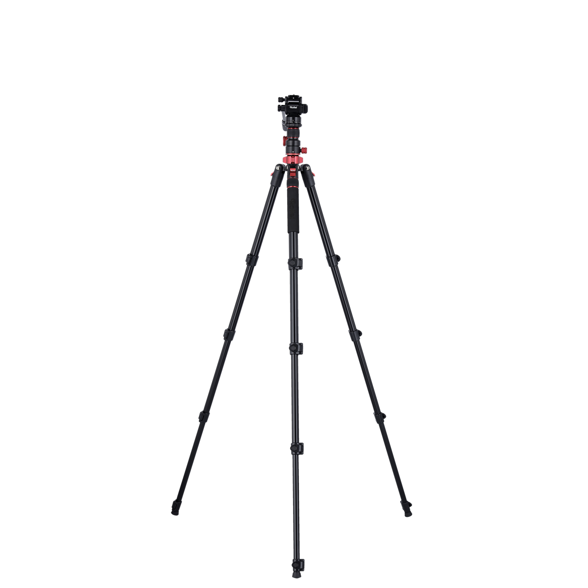 Stativ I Compact Traveler No.2 XL I Video