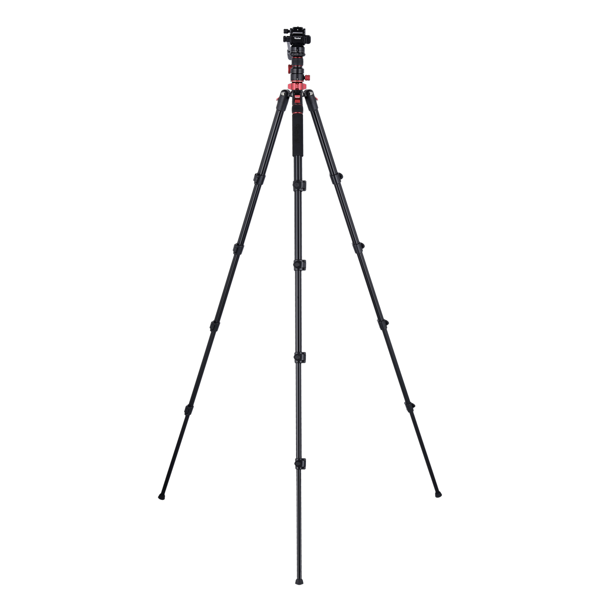 Stativ I Compact Traveler No.2 XL I Video