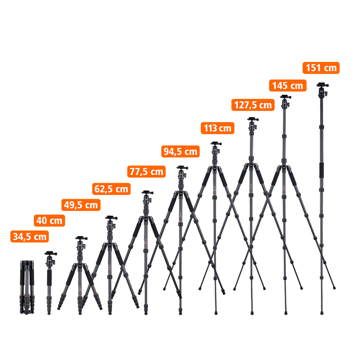 Stativ | Carbon | Compact Traveler No. 1