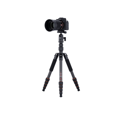 Stativ | Carbon | Compact Traveler No. 1