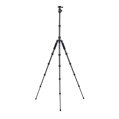 Stativ | Carbon | Compact Traveler No. 1