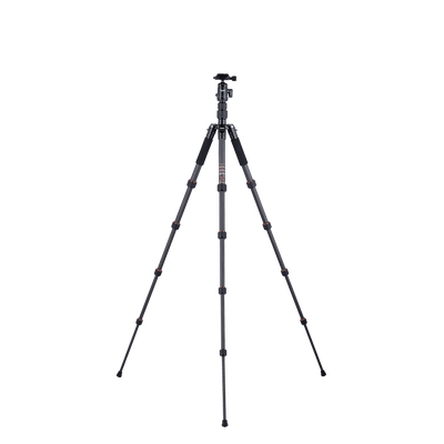 Stativ | Carbon | Compact Traveler No. 1