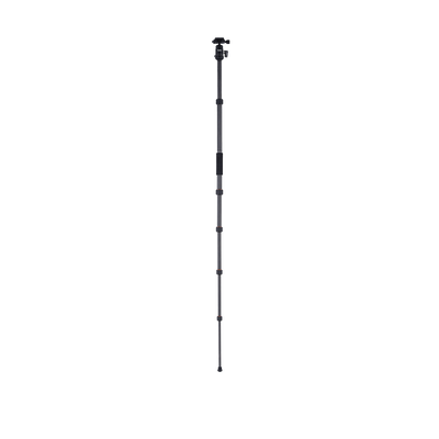 Stativ | Carbon | Compact Traveler No. 1