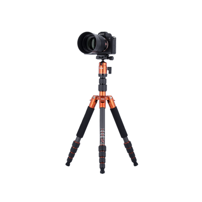 Stativ | Carbon | Compact Traveler No. 1