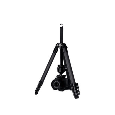 Lion Rock Traveler Pro inkl. Stativkopf | All Black