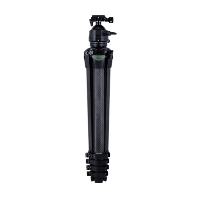 Lion Rock Pro Instinct inkl. Stativkopf