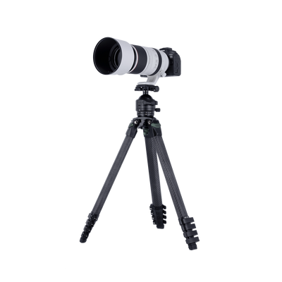 Lion Rock Pro Instinct inkl. Stativkopf