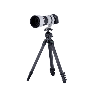 Lion Rock Pro Instinct inkl. Stativkopf