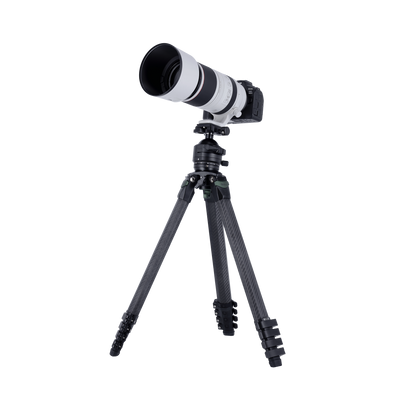 Lion Rock Pro Instinct inkl. Stativkopf