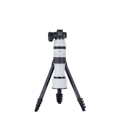 Lion Rock Pro Instinct inkl. Stativkopf