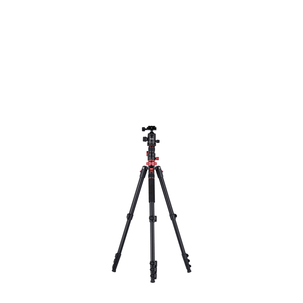 Stativ I Compact Traveler No.2 XL I Foto