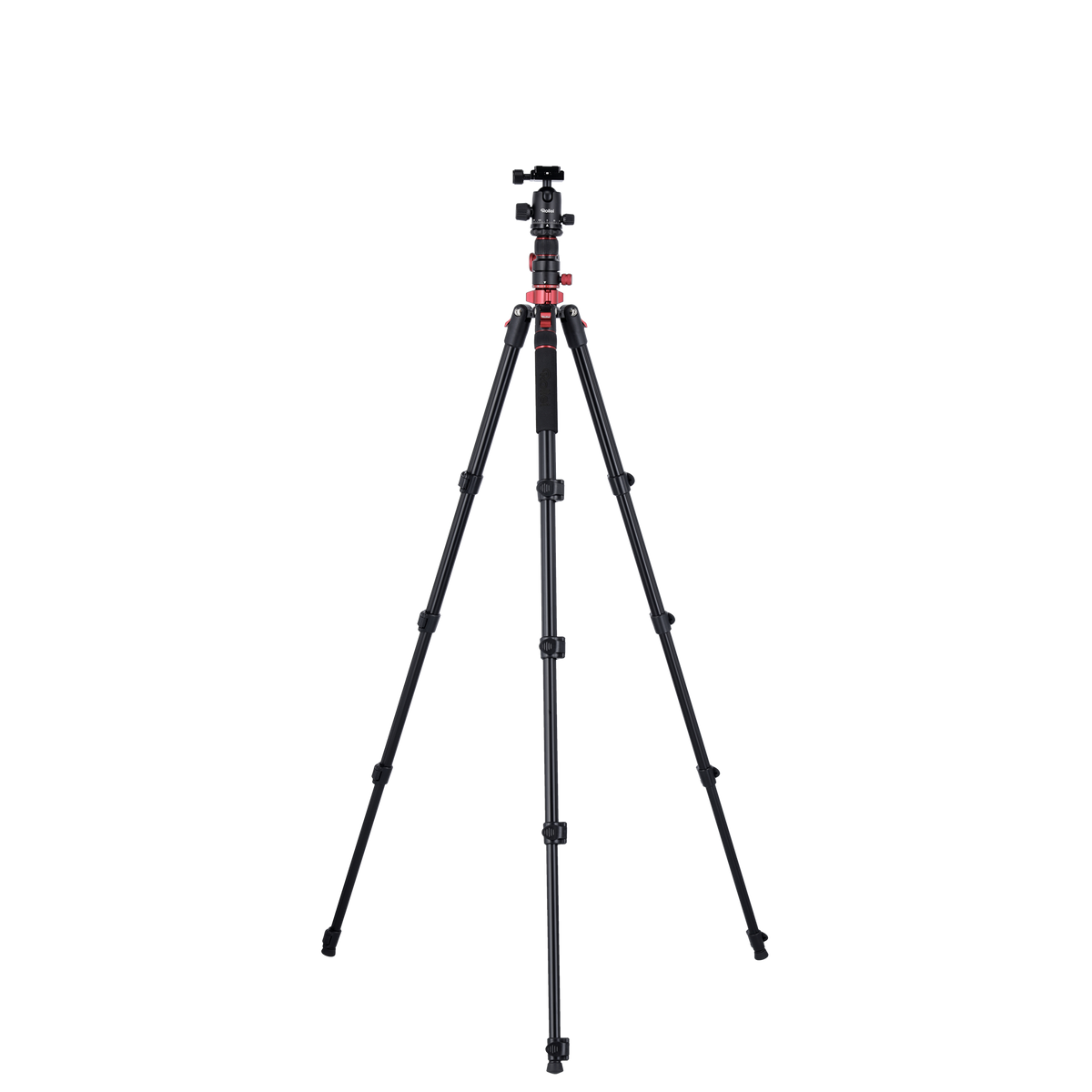 Stativ I Compact Traveler No.2 XL I Foto