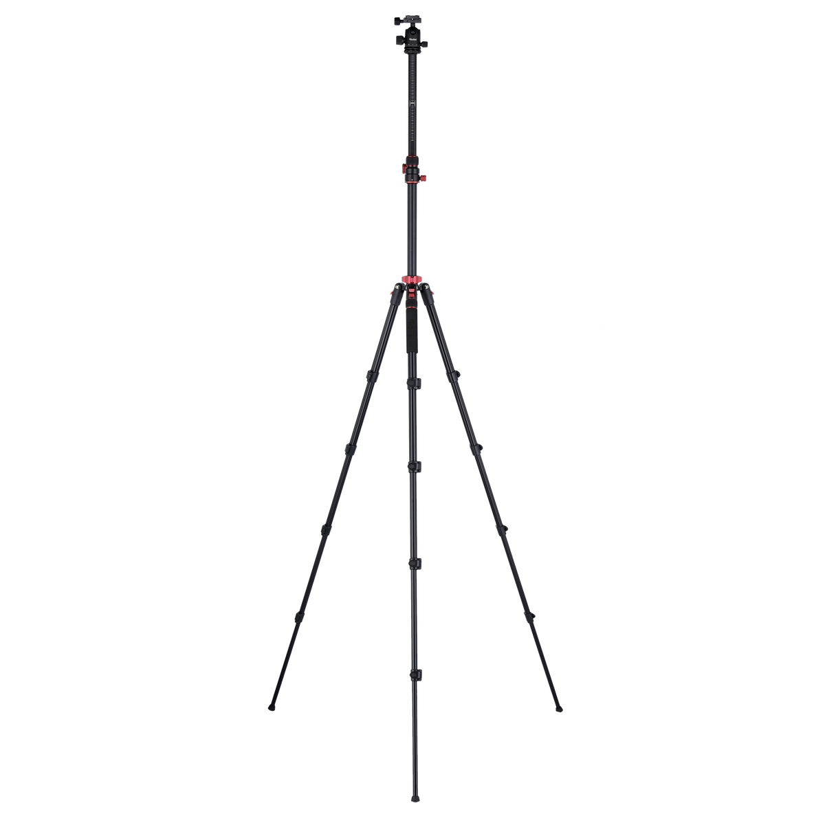 Stativ I Compact Traveler No.2 XL I Foto