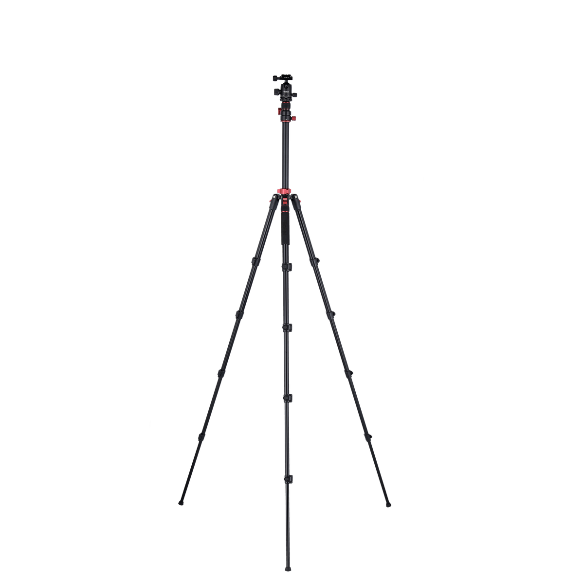 Stativ I Compact Traveler No.2 XL I Foto