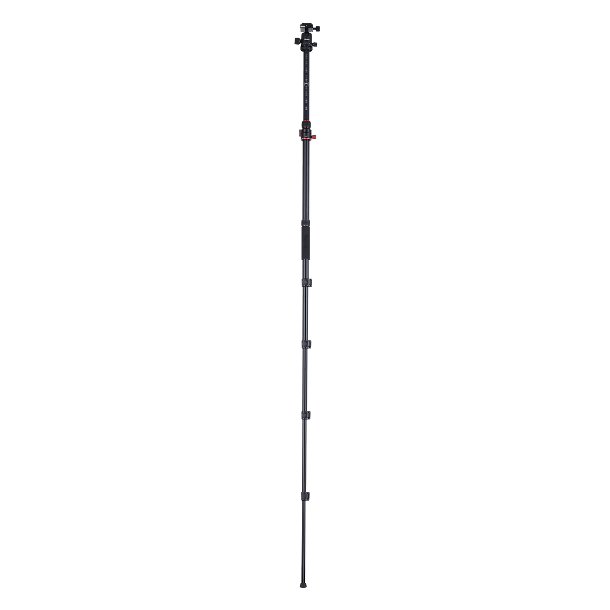 Stativ I Compact Traveler No.2 XL I Foto
