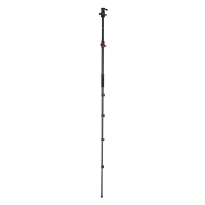 Stativ I Compact Traveler No.2 XL I Foto