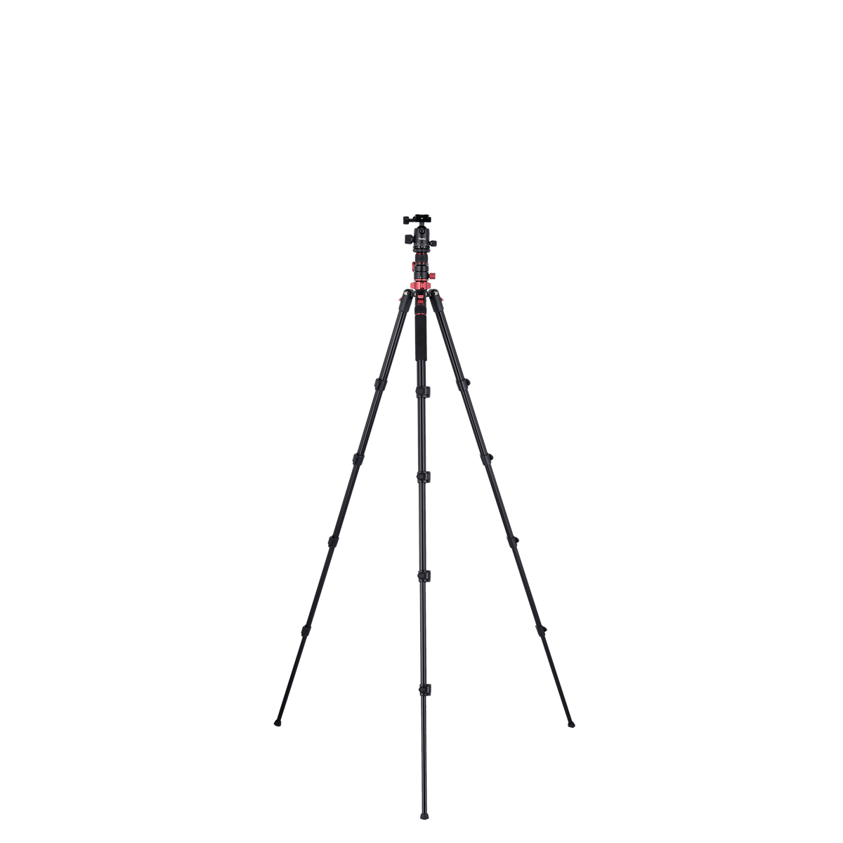 Stativ I Compact Traveler No.2 XL I Foto