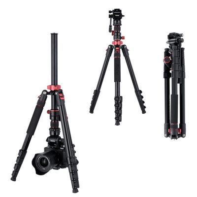 Stativ I Compact Traveler No.2 XL I Video