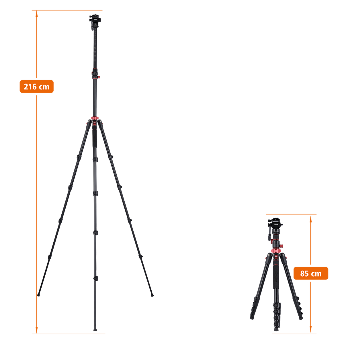 Stativ I Compact Traveler No.2 XL I Video