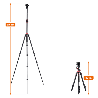 Stativ I Compact Traveler No.2 XL I Video
