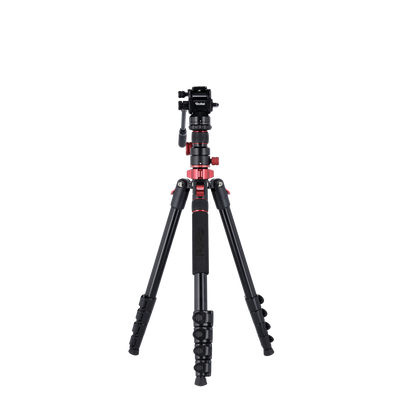 Stativ I Compact Traveler No.2 XL I Video