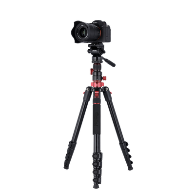 Stativ I Compact Traveler No.2 XL I Video