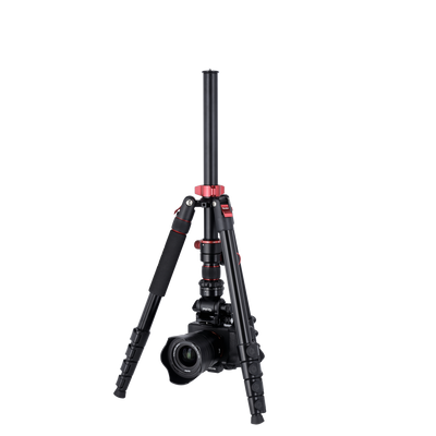 Stativ I Compact Traveler No.2 XL I Video