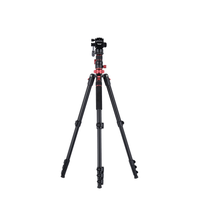 Stativ I Compact Traveler No.2 XL I Video