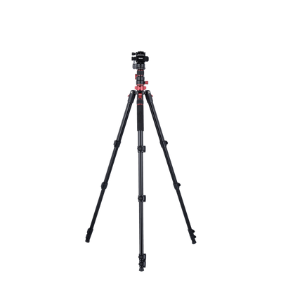Stativ I Compact Traveler No.2 XL I Video