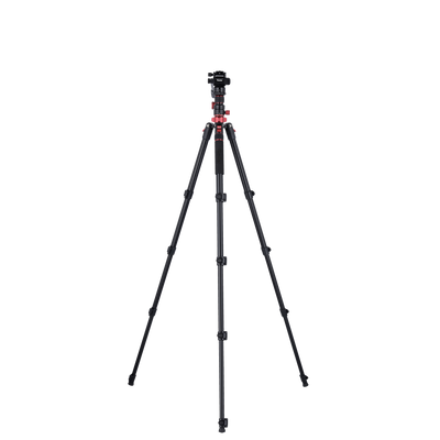 Stativ I Compact Traveler No.2 XL I Video