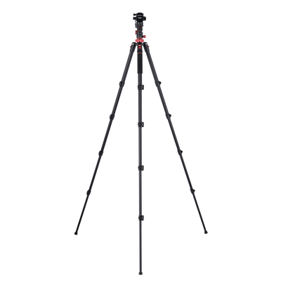Stativ I Compact Traveler No.2 XL I Video