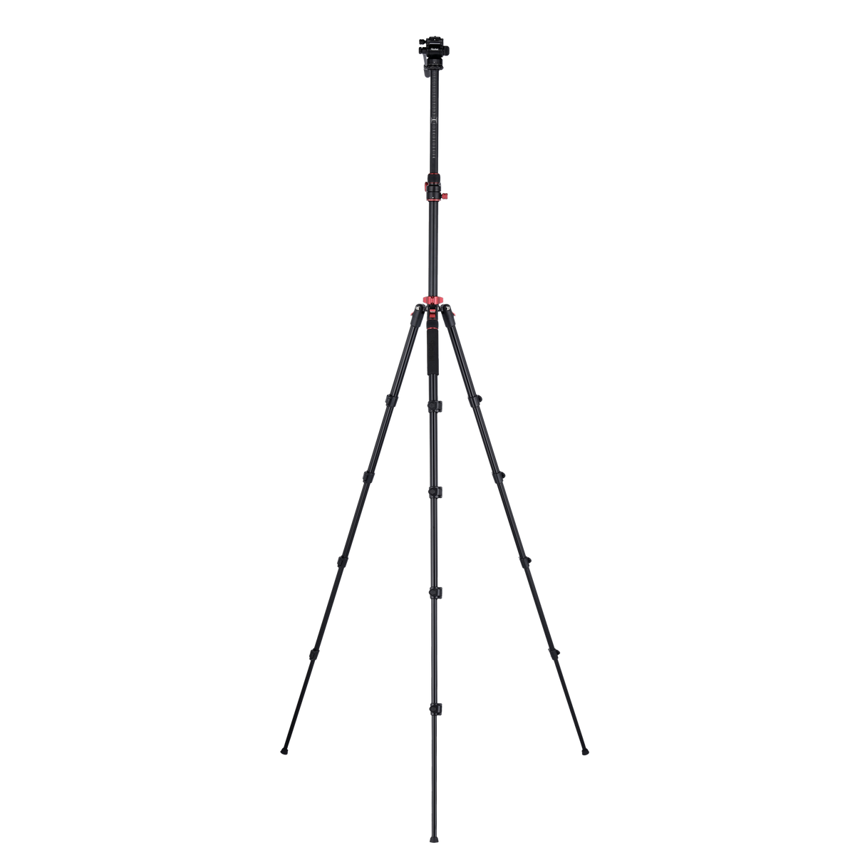 Stativ I Compact Traveler No.2 XL I Video