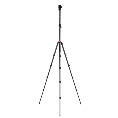Stativ I Compact Traveler No.2 XL I Video