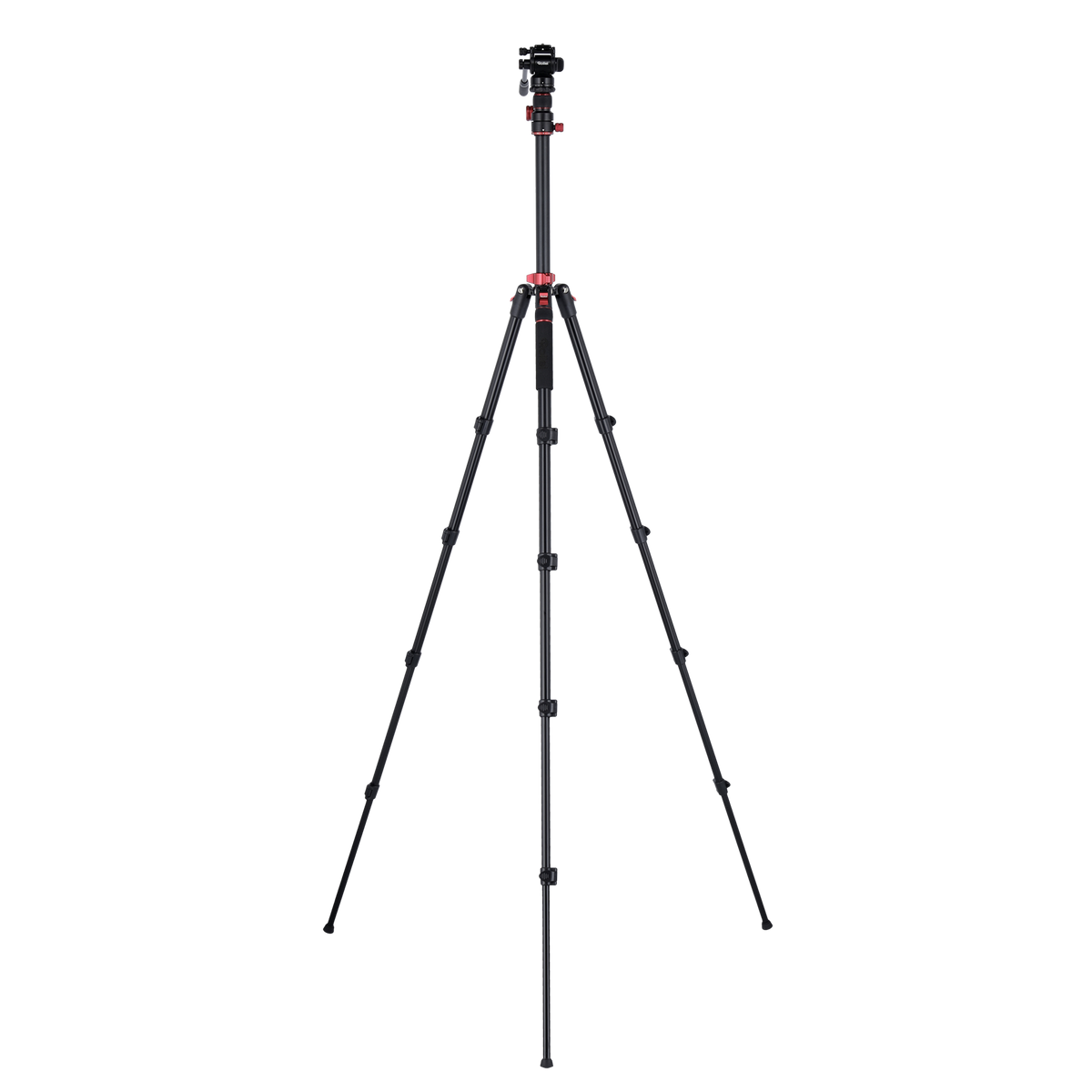 Stativ I Compact Traveler No.2 XL I Video