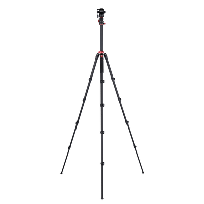 Stativ I Compact Traveler No.2 XL I Video