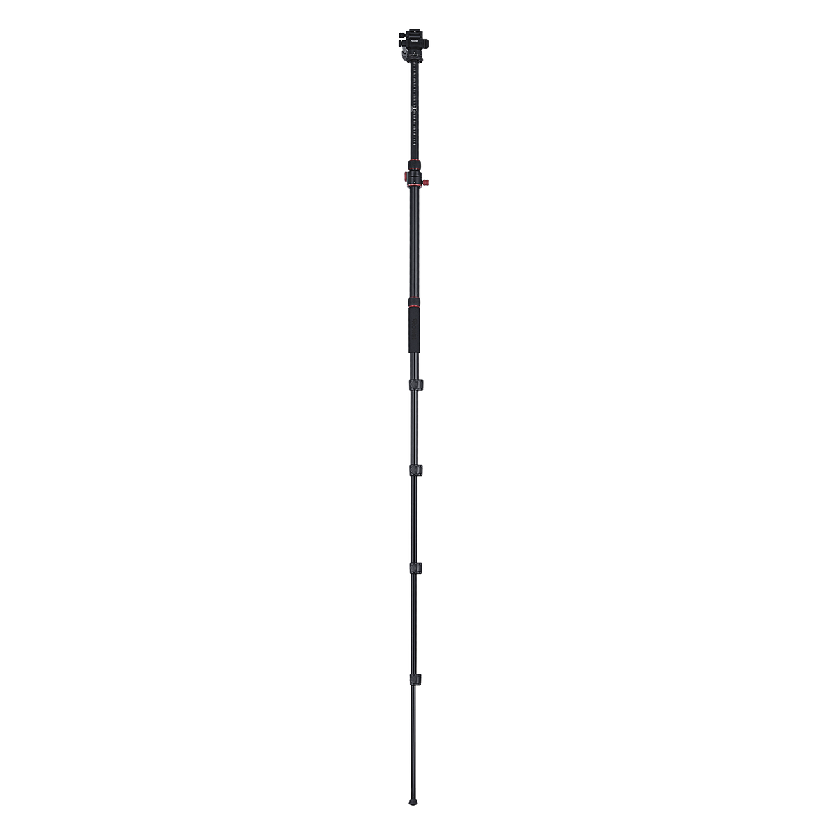 Stativ I Compact Traveler No.2 XL I Video