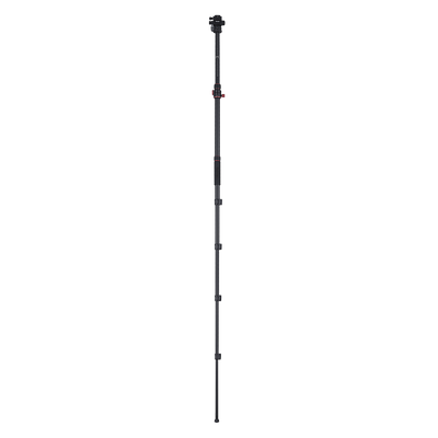 Stativ I Compact Traveler No.2 XL I Video